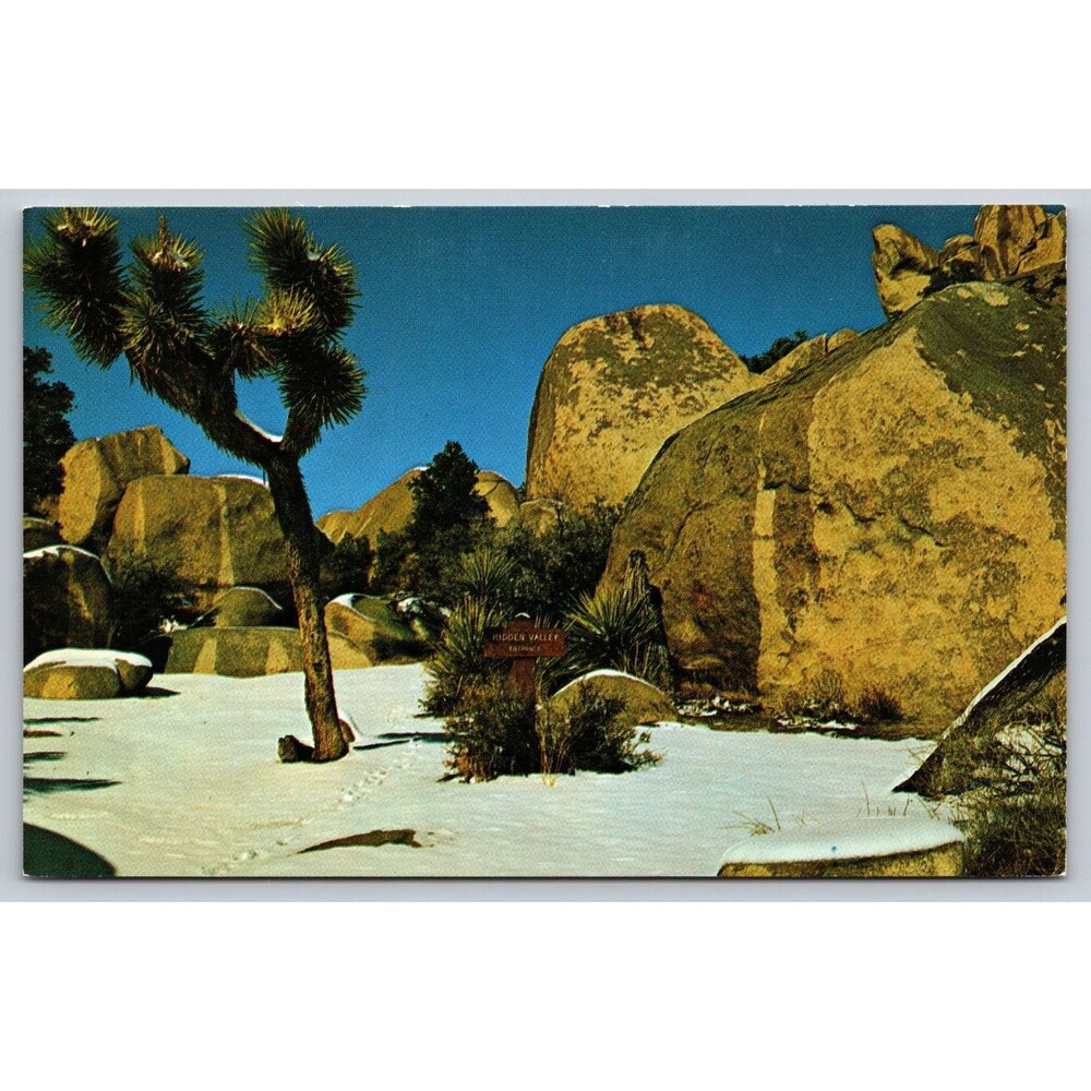 Joshua Tree CA Postcard Hidden Valley National Monument Snow Scene Winter Chrome